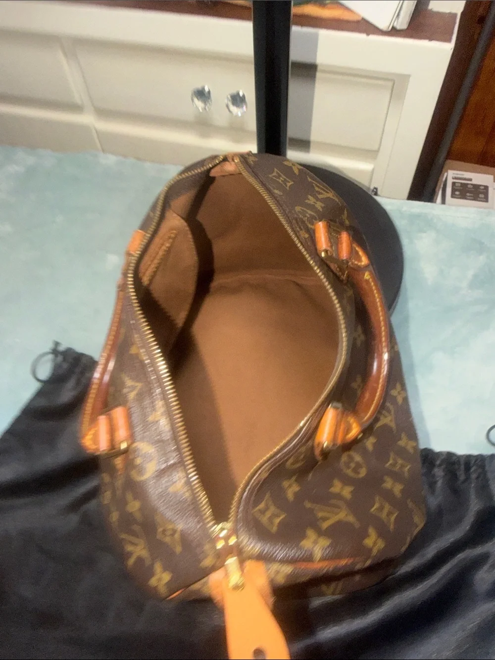 Louis Vuitton authentic louis